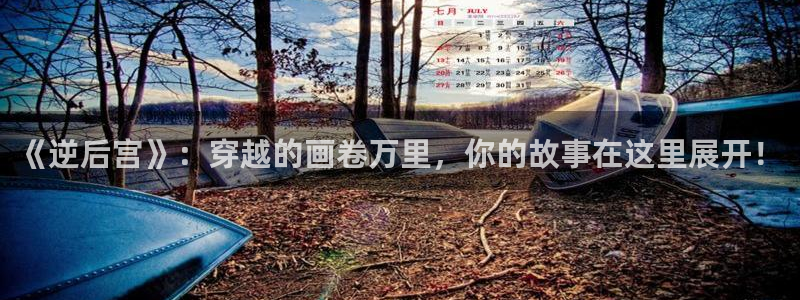 久久久久久久动漫