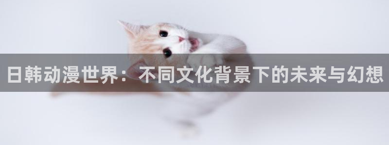 国产精品久久久动漫